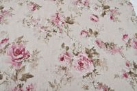 Rosenstoff Daisy Lin