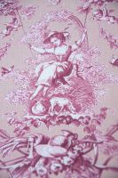 Toile de Jouy Joseph poudre